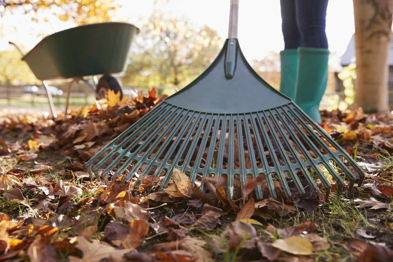 woman raking leaves in the fall